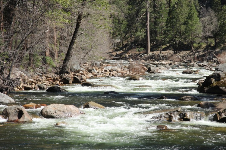 Toualamine River through Yosemite NP